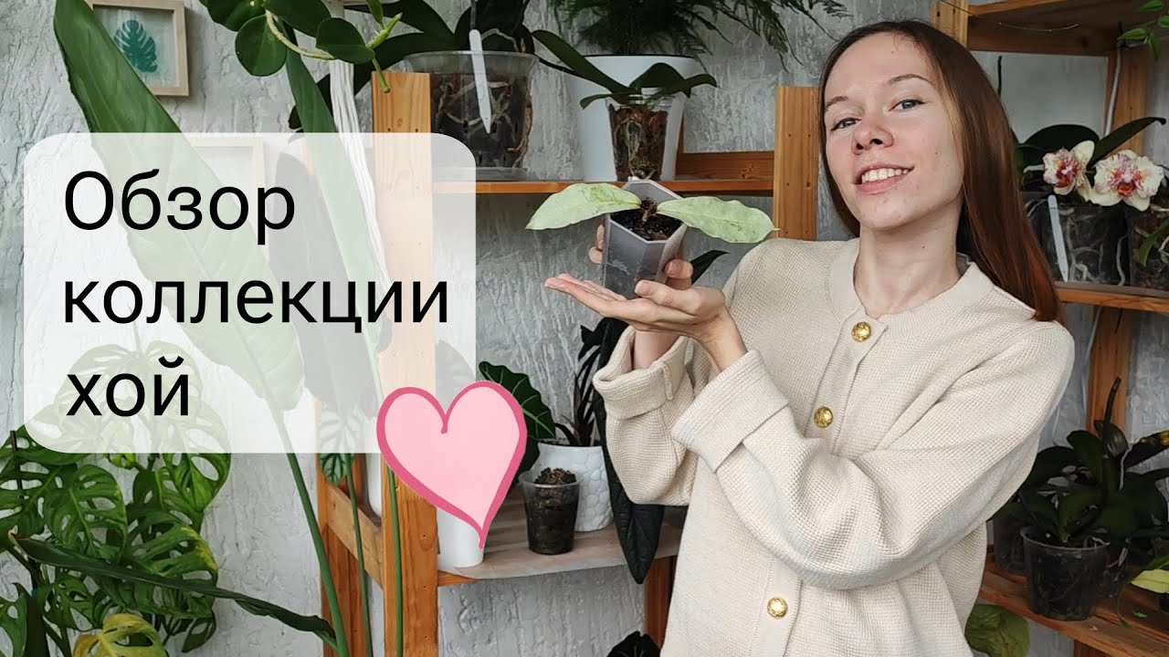 ОБЗОР моей коллекции ХОЙ | Весна 2024