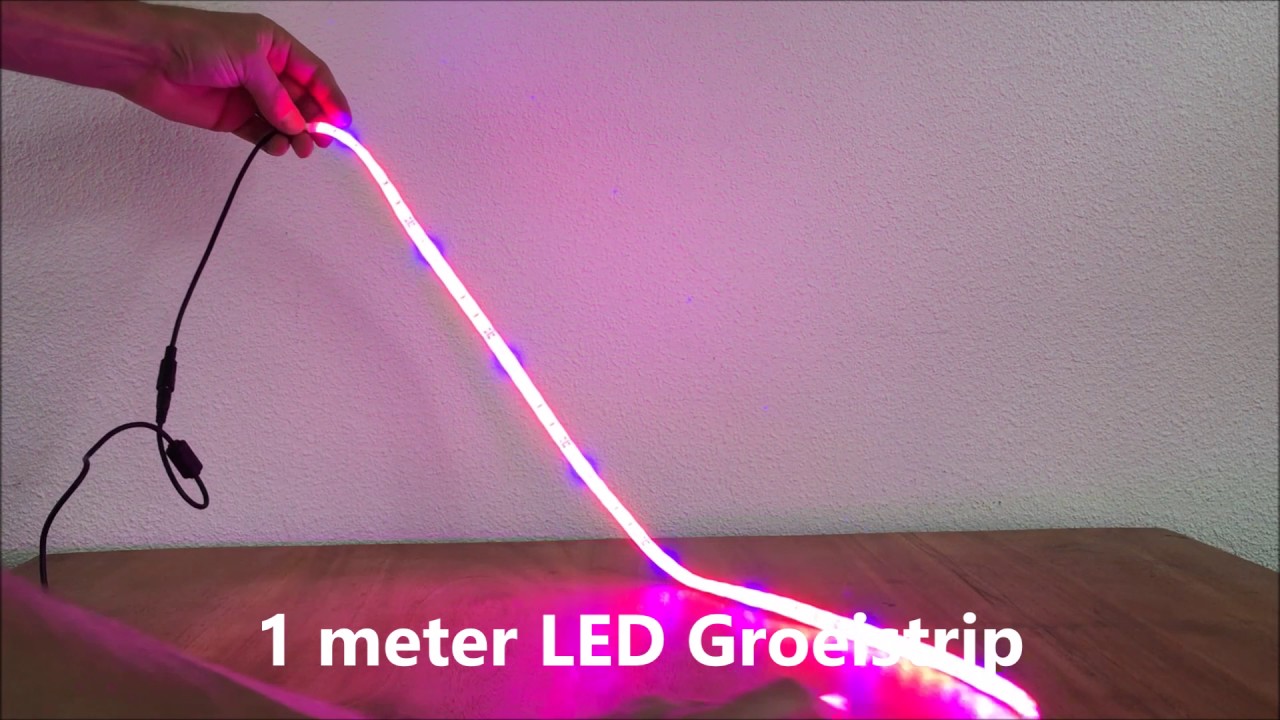 LED Kweekstrip van 1 meter