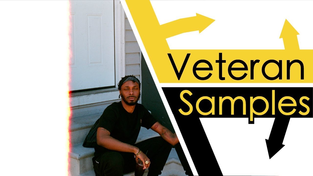 Every Sample From JPEGMAFIA's Veteran