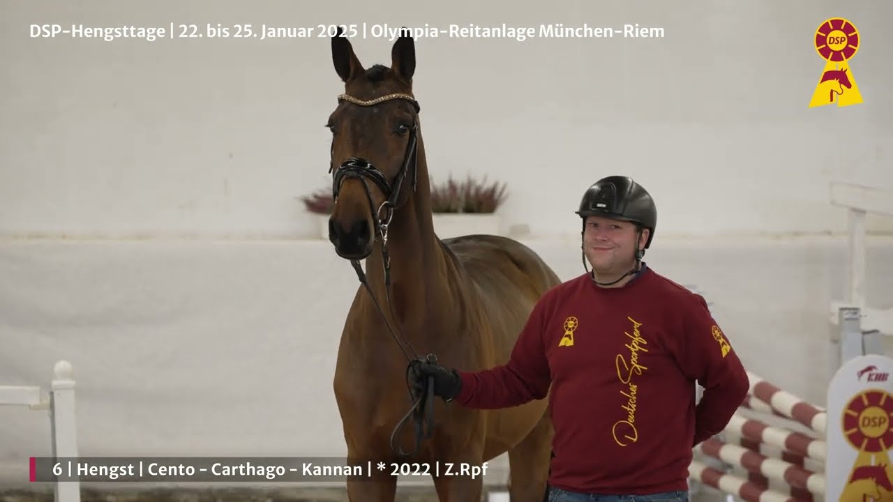 Lot 6 v. Cento / Carthago