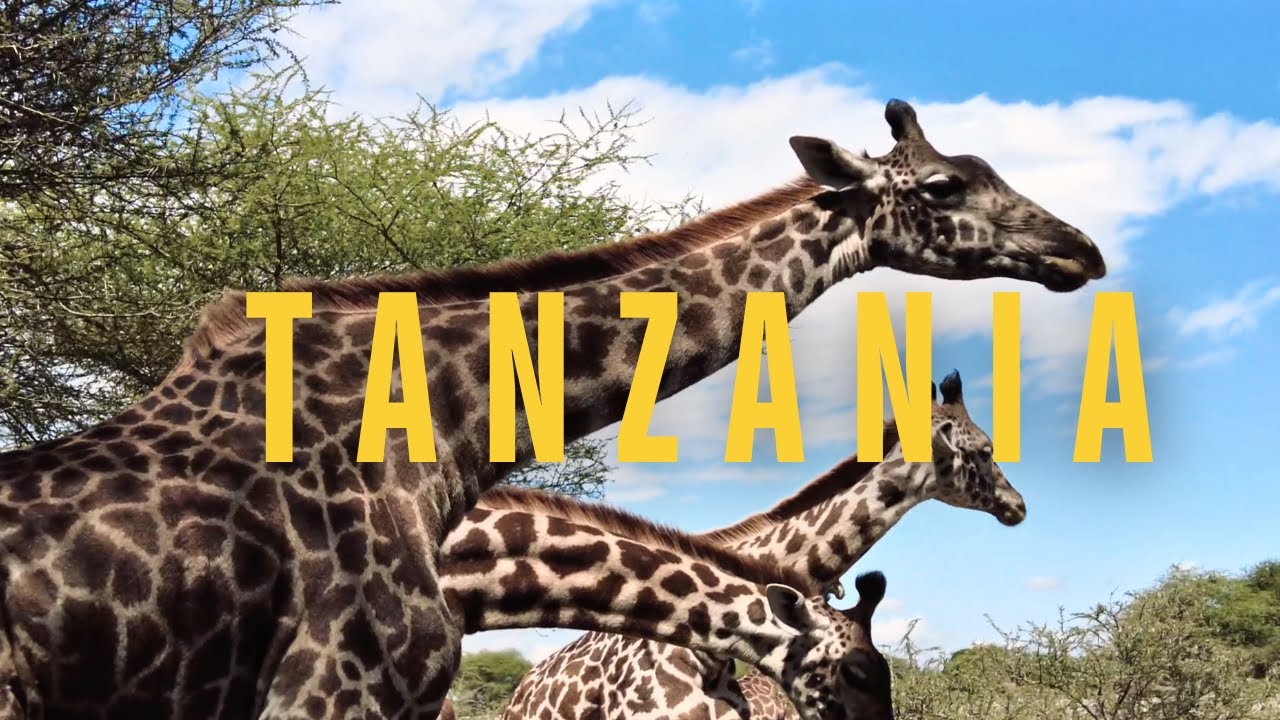 TANZANIA TOP LUXURIOUS SAFARI: SERVAL WILDLIFE SANCTUARY
