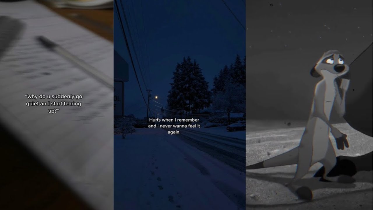 Vent TikTok Compilation #46