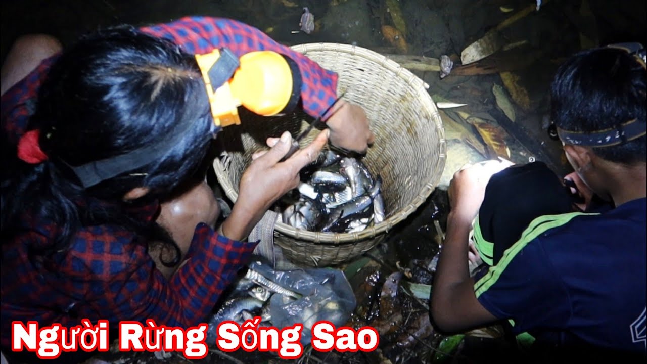 Người Rừng Sống Ra Sao ? Và Cách Bắt Cá Suối Bằng Cách Nào | Forest People Catching Fish