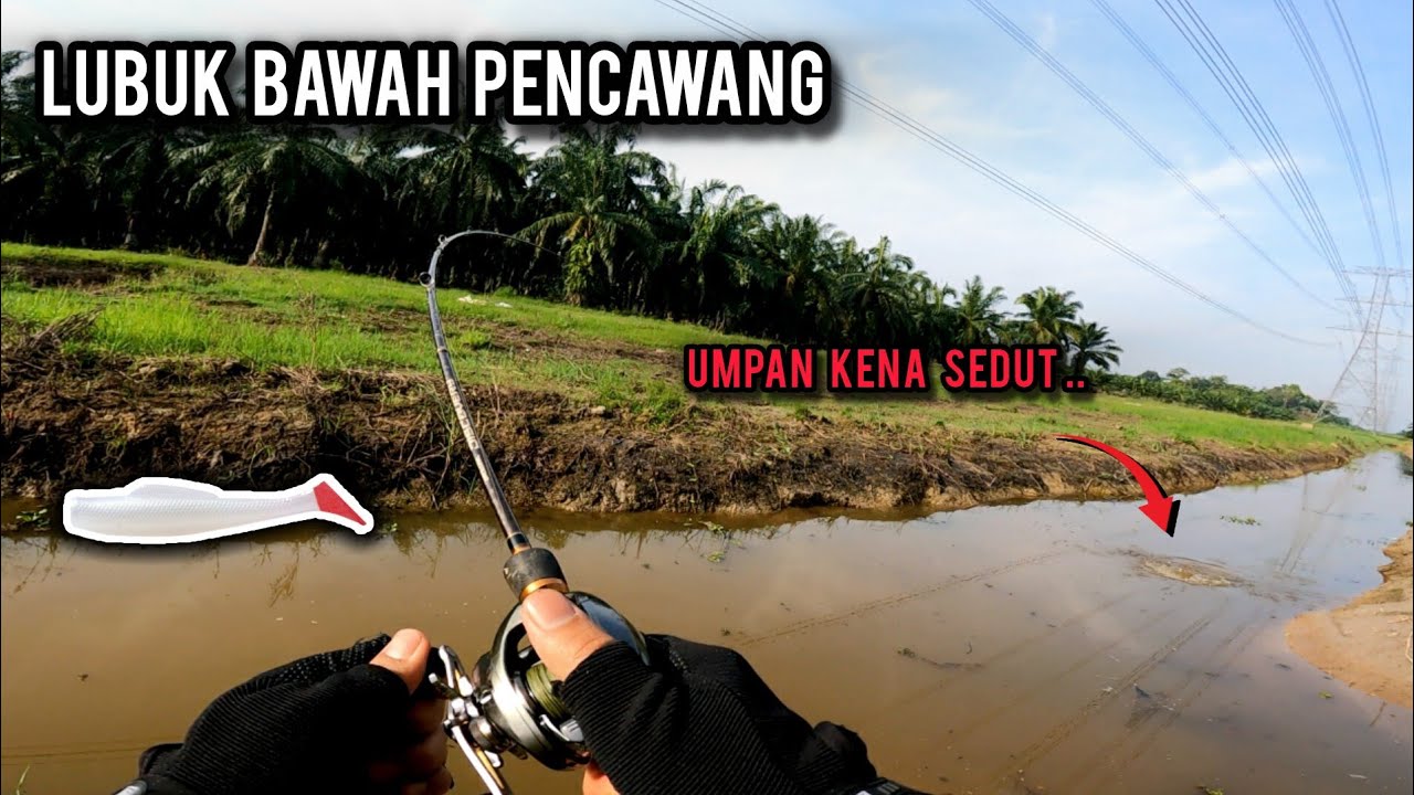 CASTING HARUAN | LUBUK HARUAN TERBAIK SEPANJANG ZAMAN | SHIMANO ALDABRAN | VLOG711