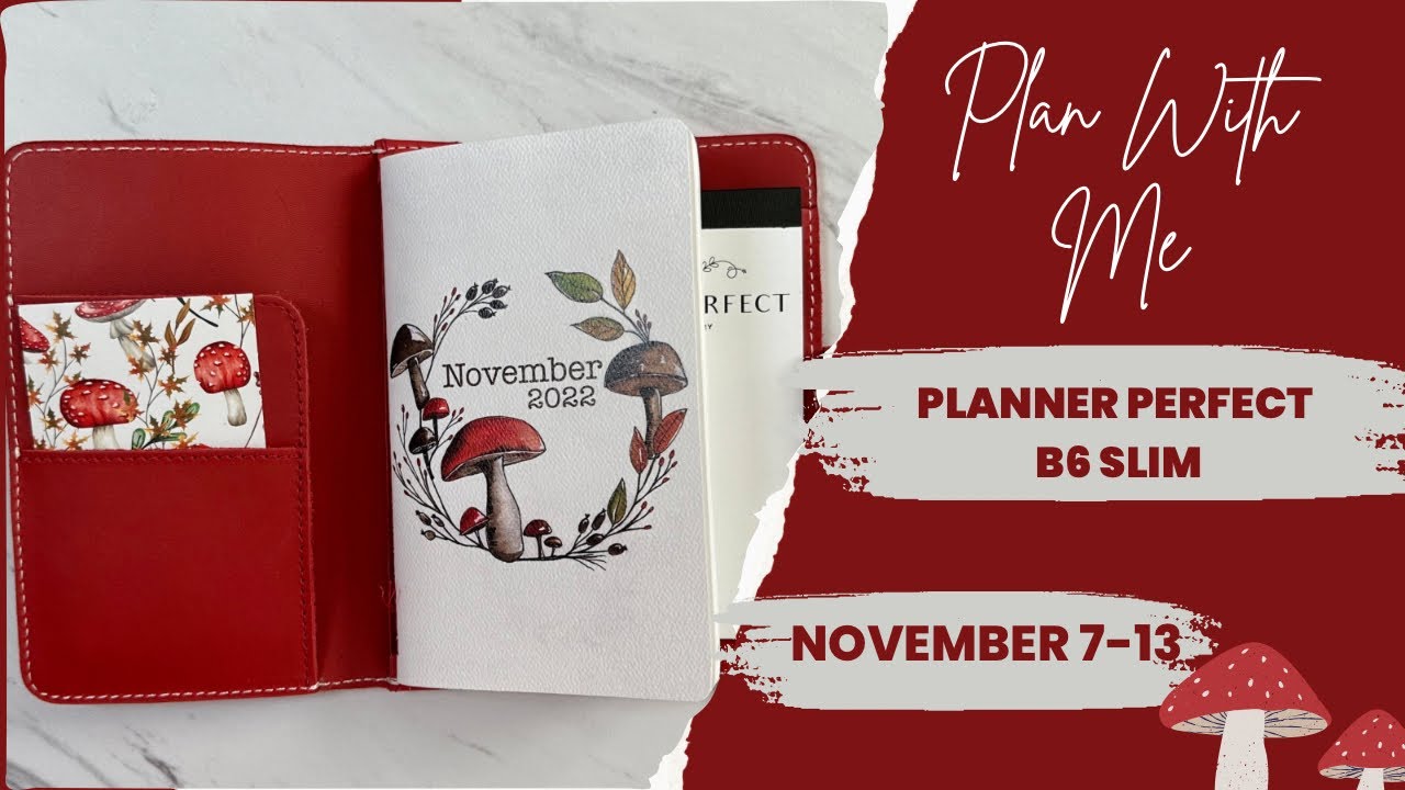 Plan With Me | November 7-13 | Planner Perfect | B6 Slim