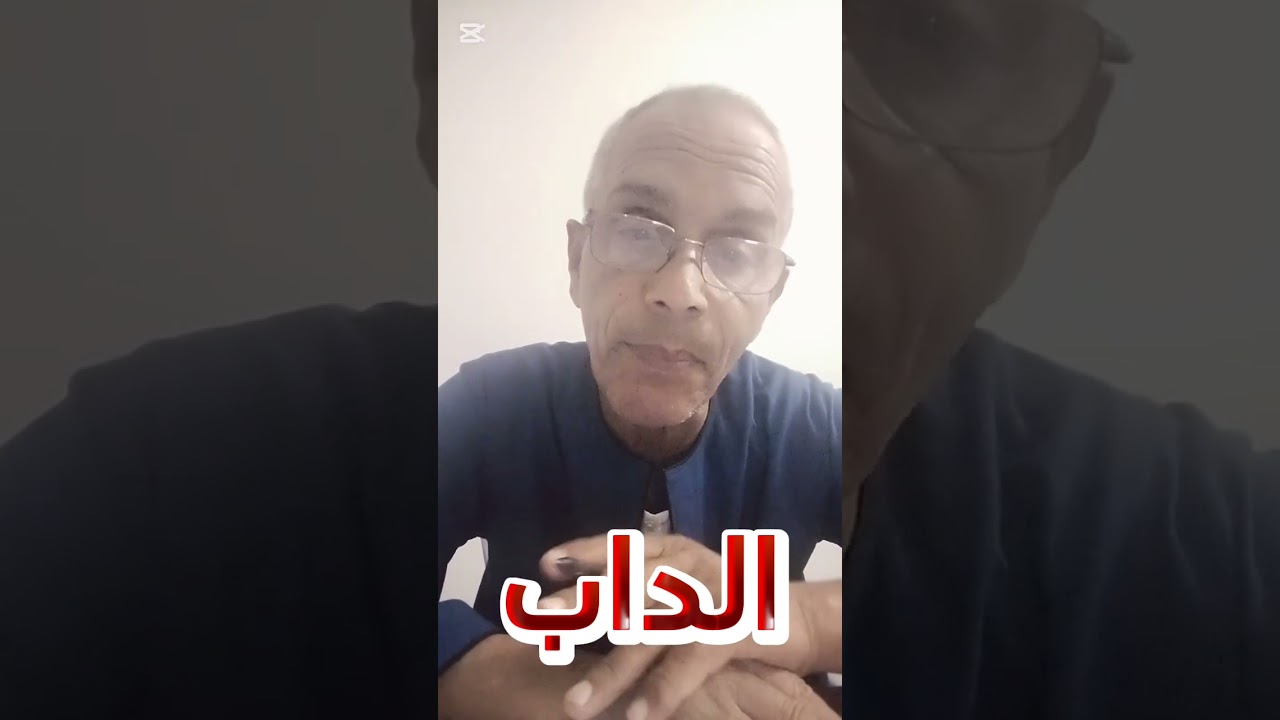 ما هو الداب