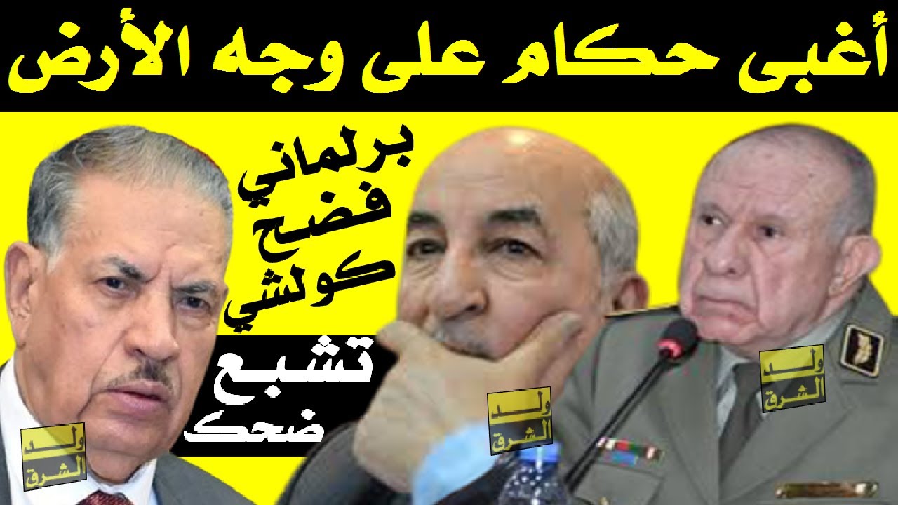 تشبع ضحك + برلماني فضح كولشي + أكلخ حكام على وجه الأرض