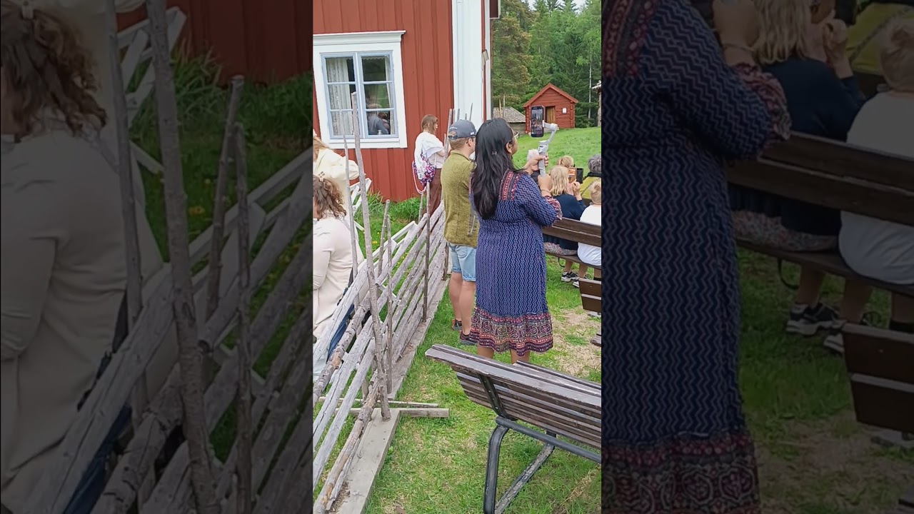 Sveriges nationaldag Svenska flaggans dag