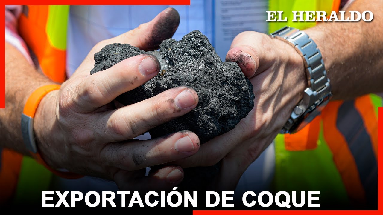 Notas EH | Coque, el otro oro negro que se exporta por Barranquilla
