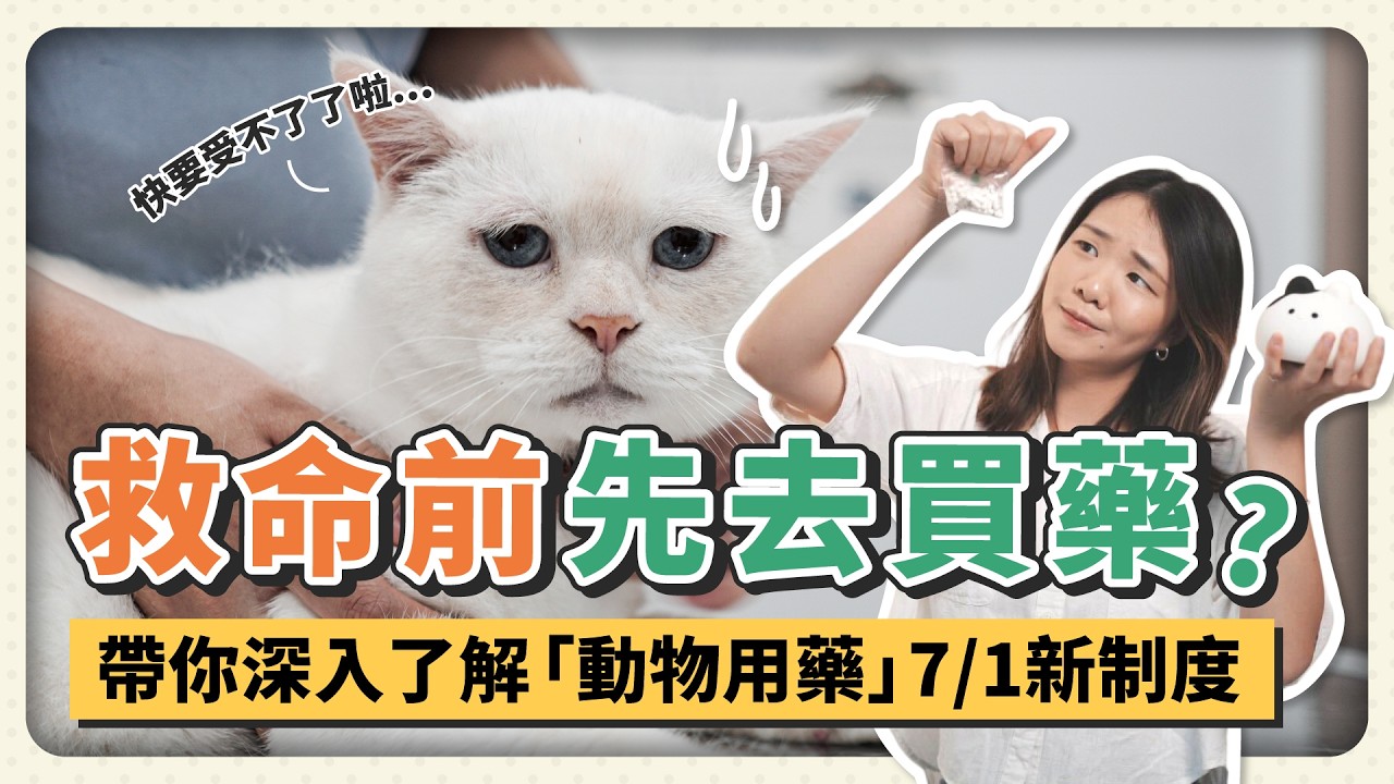 獸醫、飼主界集體炸裂！「動物用藥新制」到底吵什麼？帶你釐清爭議
