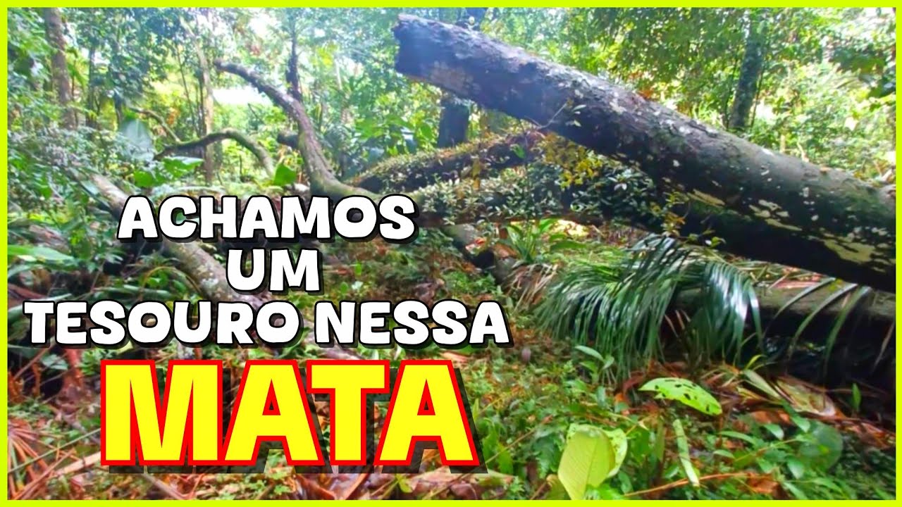 🏕 PROCURANDO PLANTAS NA MATA ACHAMOS #ORQUÍDEA  E OUTRAS 😍🍃🍂☘️