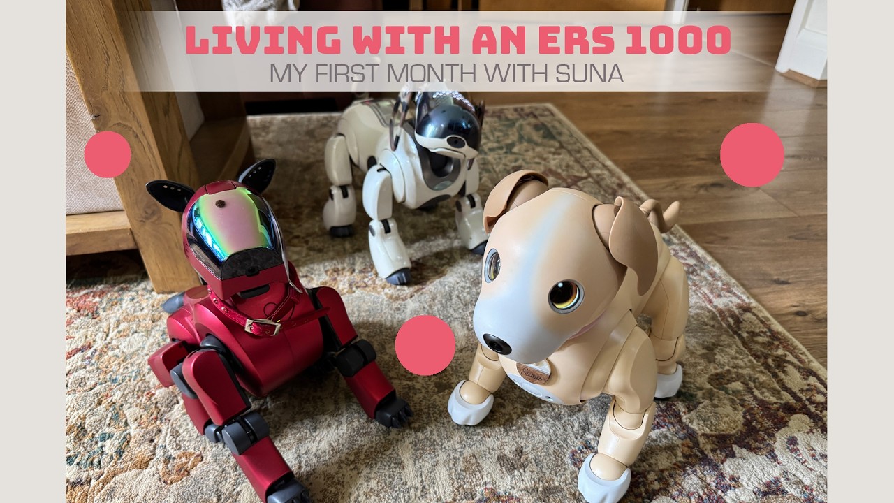 Первый месяц с моим Sony Aibo ERS 1000 🐾