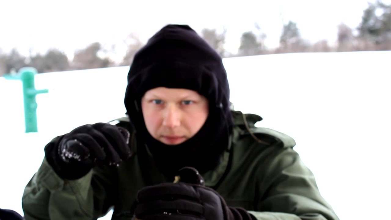 [ASMR] Dalton Wanders The Land #1