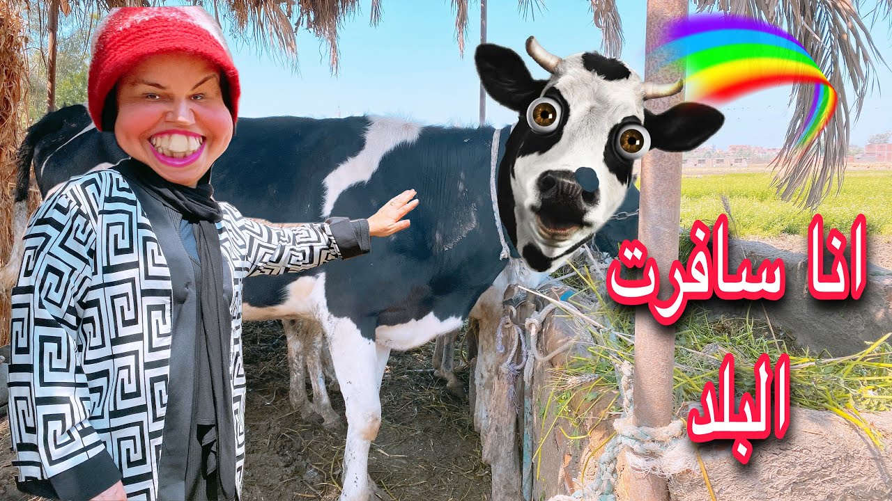 ظريفة ورثت 12000000 جنيه بس ياتري هتستلمه ازاي 😱