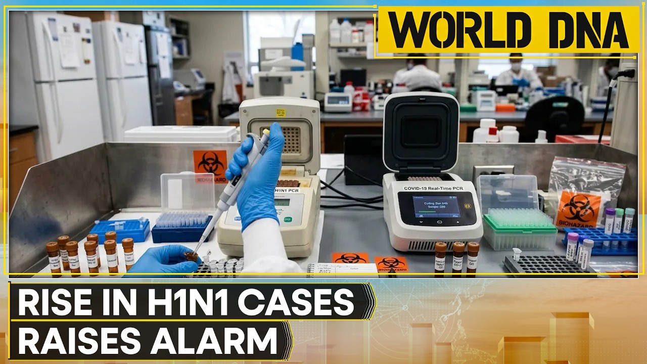 Swine Flu Rise: H1N1 Cases Soar In Delhi, Bengaluru As Health Alert Intensifies | WION World DNA