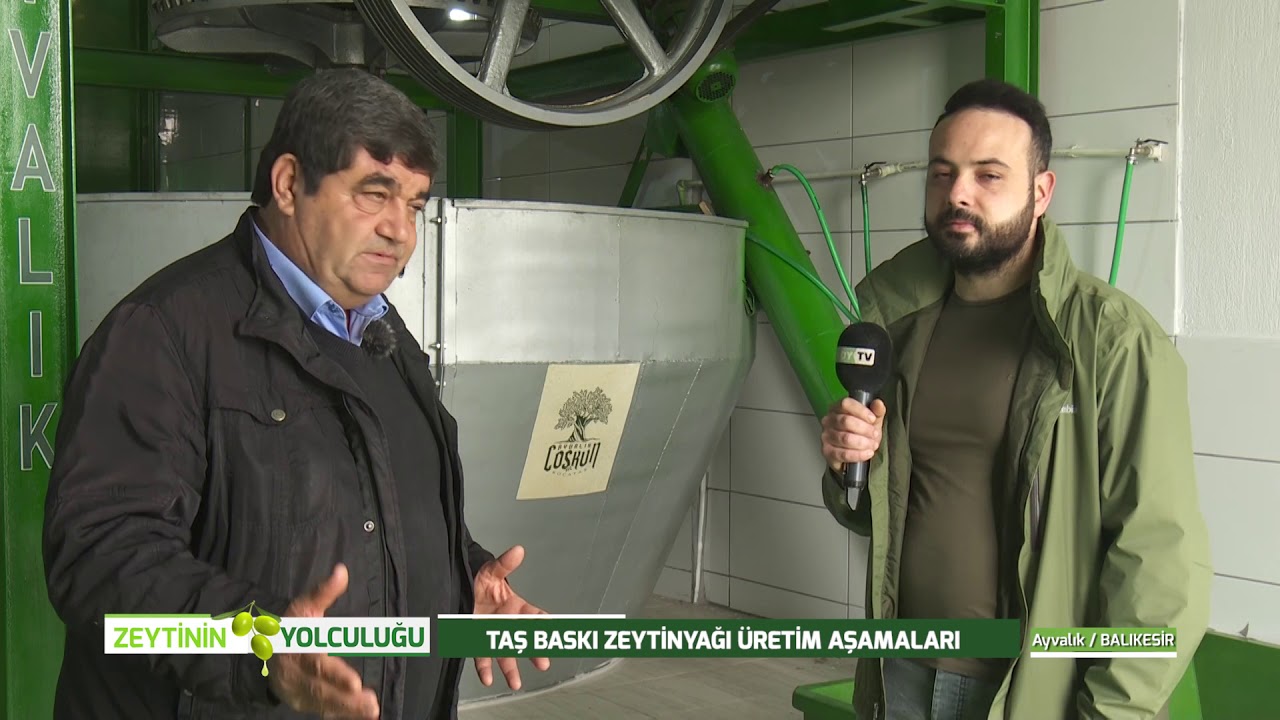 ZEYTİNİN YOLCULUĞU | TAŞ BASKI ZEYTİNYAĞI ÜRETİM AŞAMALARI - Ayvalık/BALIKESİR