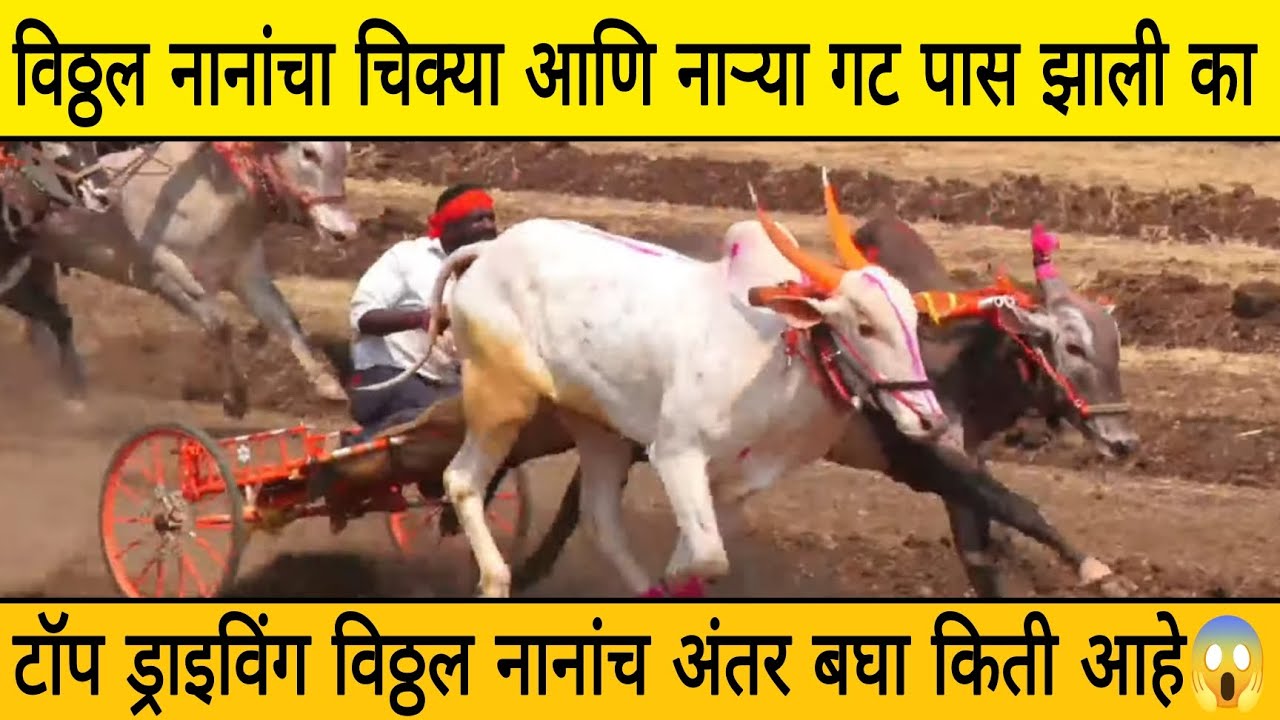 विठ्ठल नानांचा चिक्या आणि नाऱ्या ‌गट पास झाले का गाडीला काय स्पीड आहे😱टॉप ड्रायव्हिंग विठ्ठल नानांचं