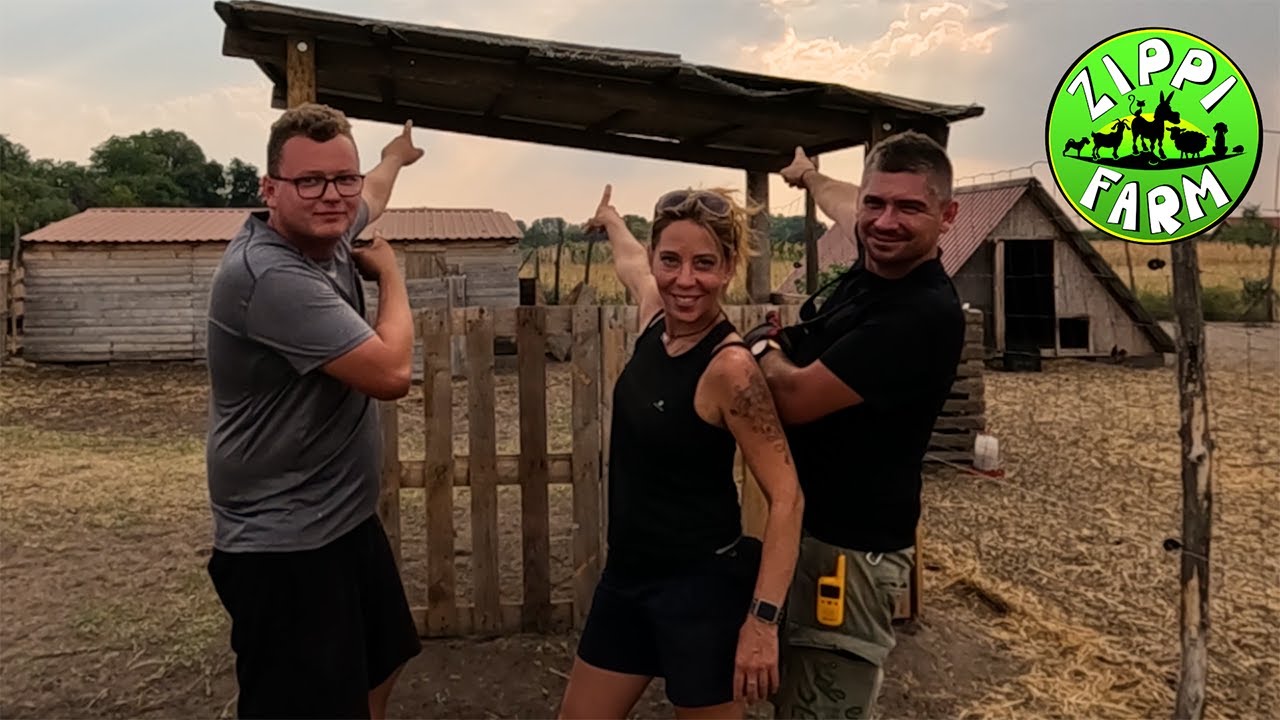 FarmNapló 33. rész  (Szamár mentés 02.)