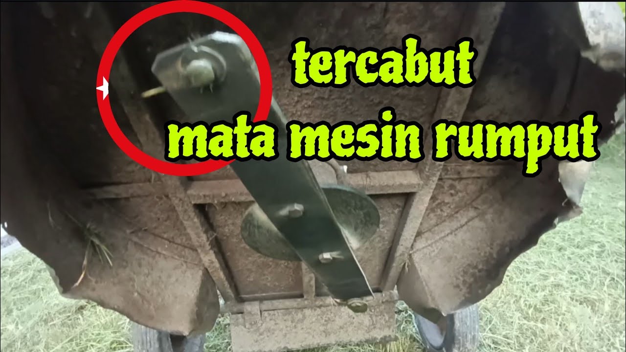 [Episod1626] last mesin rumput tepi rumah tahun lepas