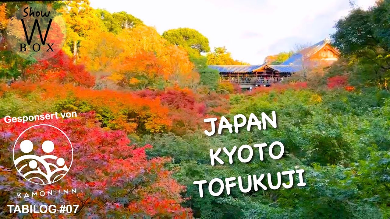 Japan Kyoto | Tofukuji Tempel - Herbstlaubfärbung | 東福寺紅葉 | Japan Sehenswürdigkeiten | Tabilog 7