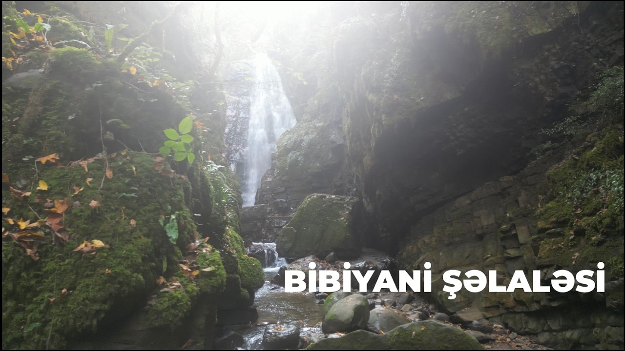 Mənim macəram Lerik, Bibiyani Şəlaləsi #lerik #şəlaləsi #təbiət #travel #macəra #nature #survival