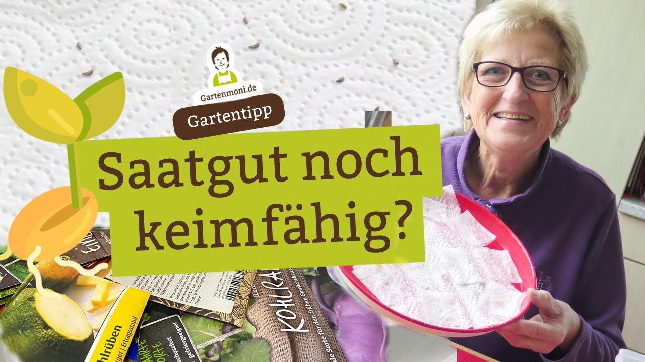 🌱 So findest du heraus, ob älteres Saatgut noch keimfähig ist - Keimprobe durchführen