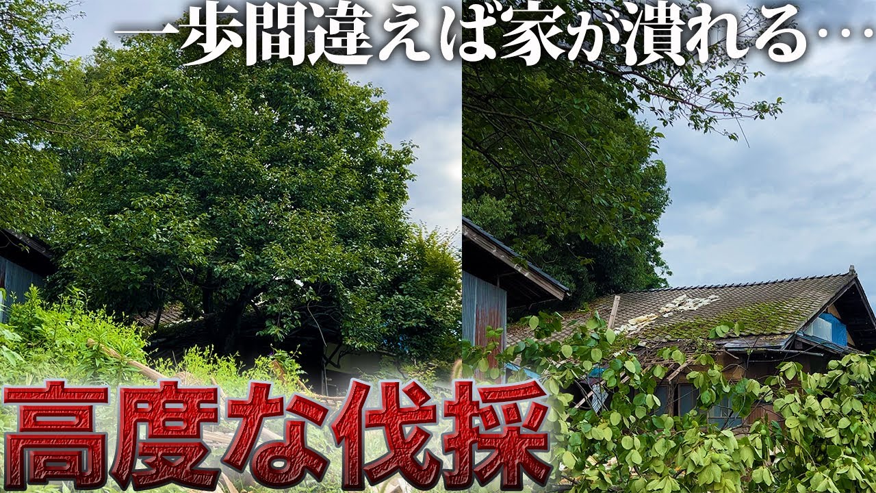 【職人技】
