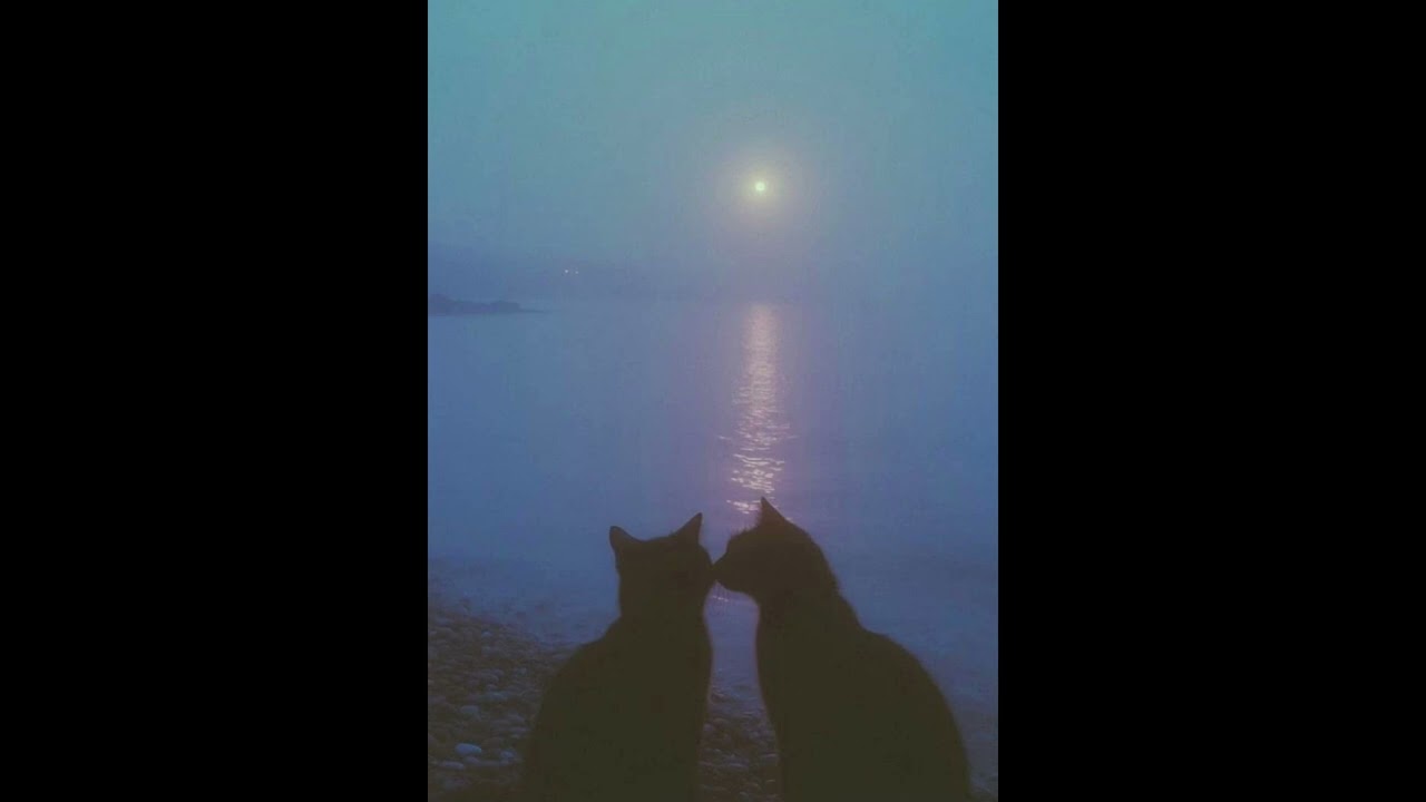 [FREE] Ekkstacy x Surf Curse x Indie Type Beat - 