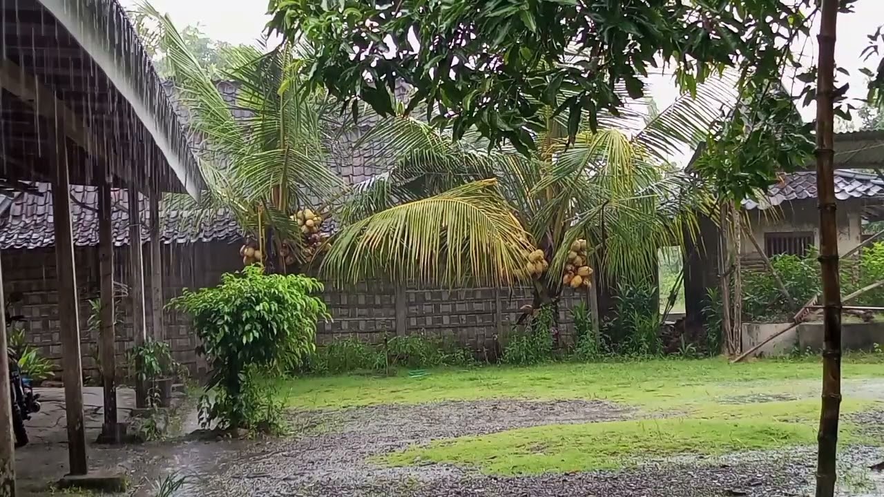 when it rains heavily with lightning, no one leaves the house