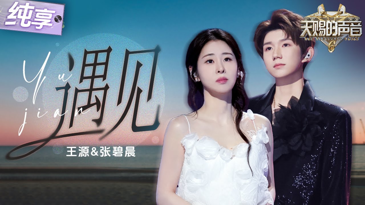 【纯享版】顶级叙事感！张碧晨王源默契演绎孙燕姿《遇见》 舒缓又流畅的旋律如清风抚慰人心！ #天赐的声音6 EP2 20250425