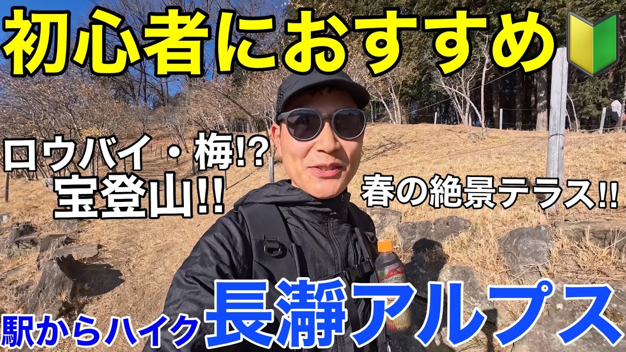 【初心者におすすめ】長瀞アルプス（宝登山）が気軽に登れてめっちゃ良い!駅からハイク【野上駅→長瀞駅/秩父鉄道】