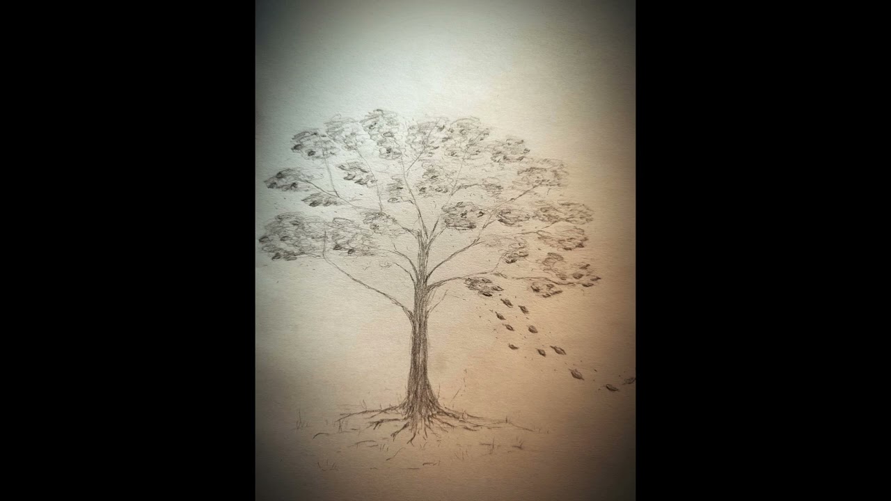 Tomek Kuręda -  Wrzesień