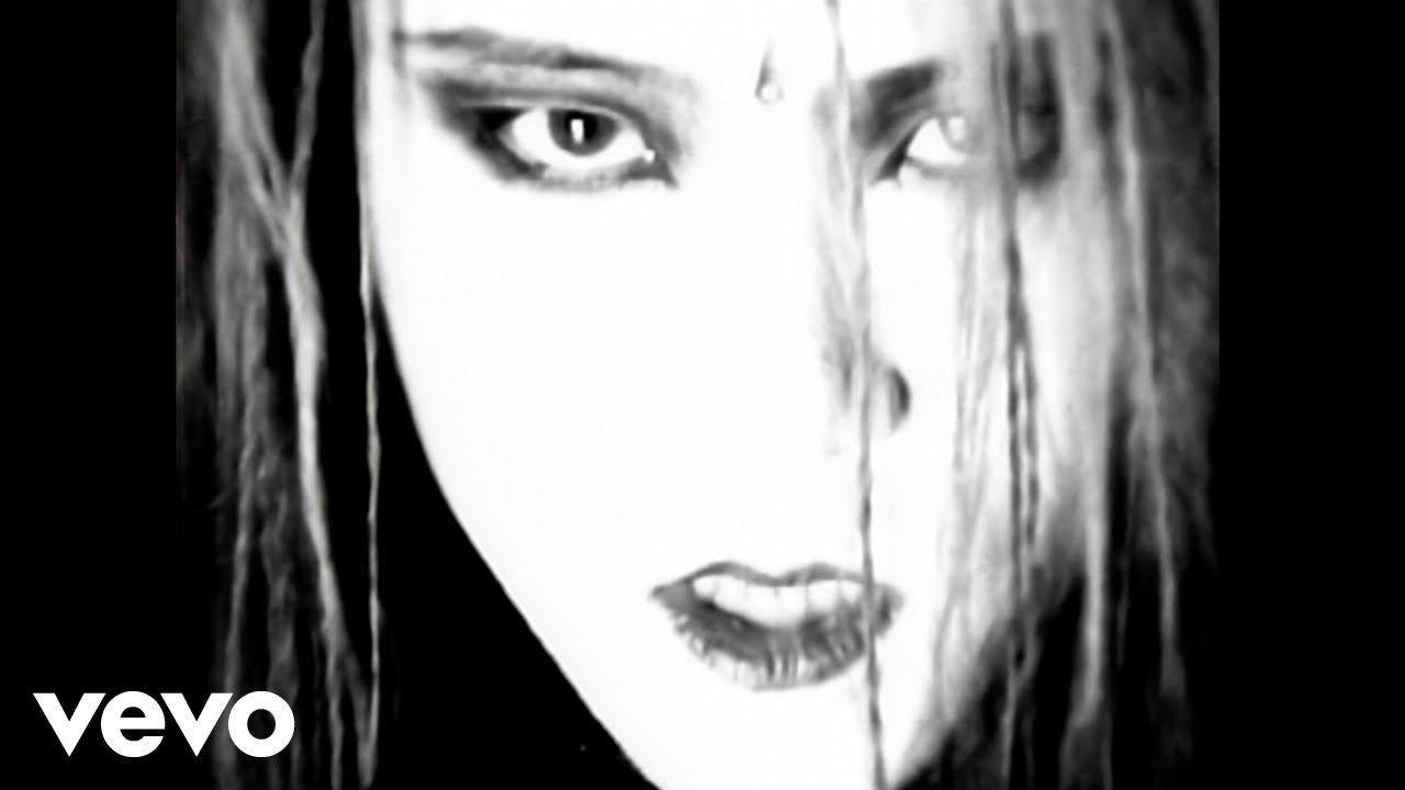hide - DICE