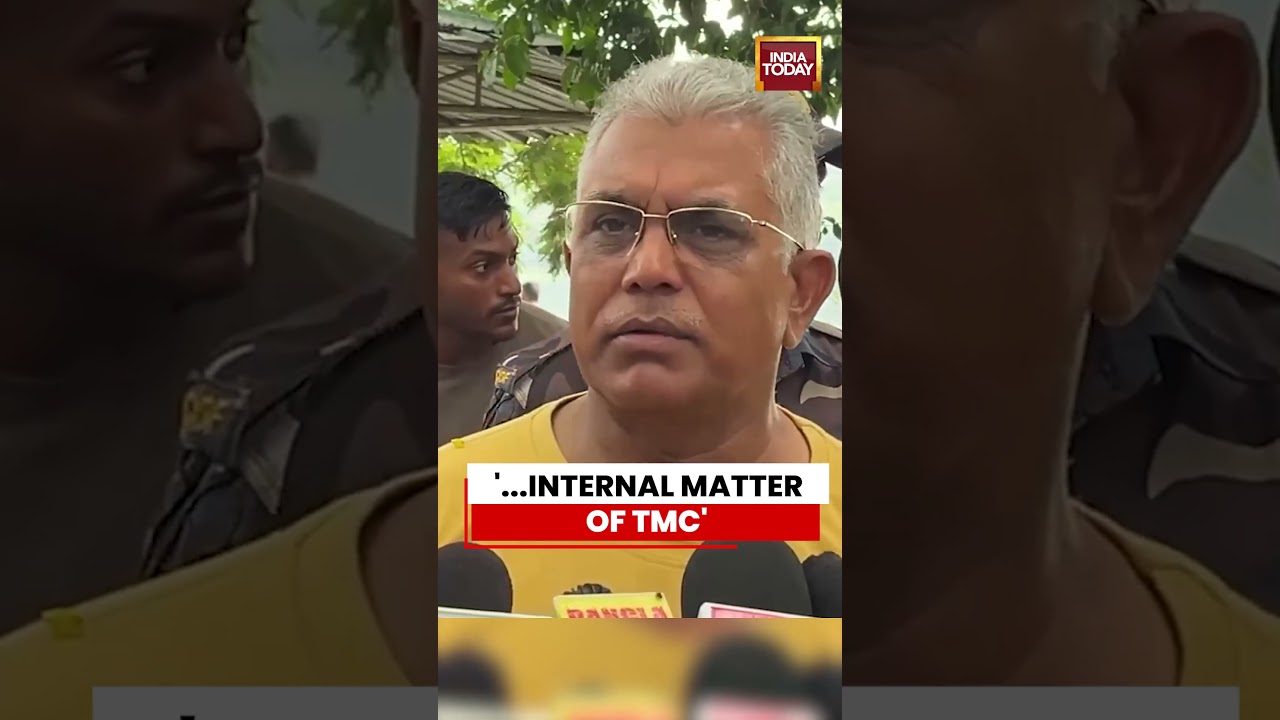 Dilip Ghosh Says TMC's Future Lies With EC, Calls It Party's Internal Matter #dilipghosh #tmc