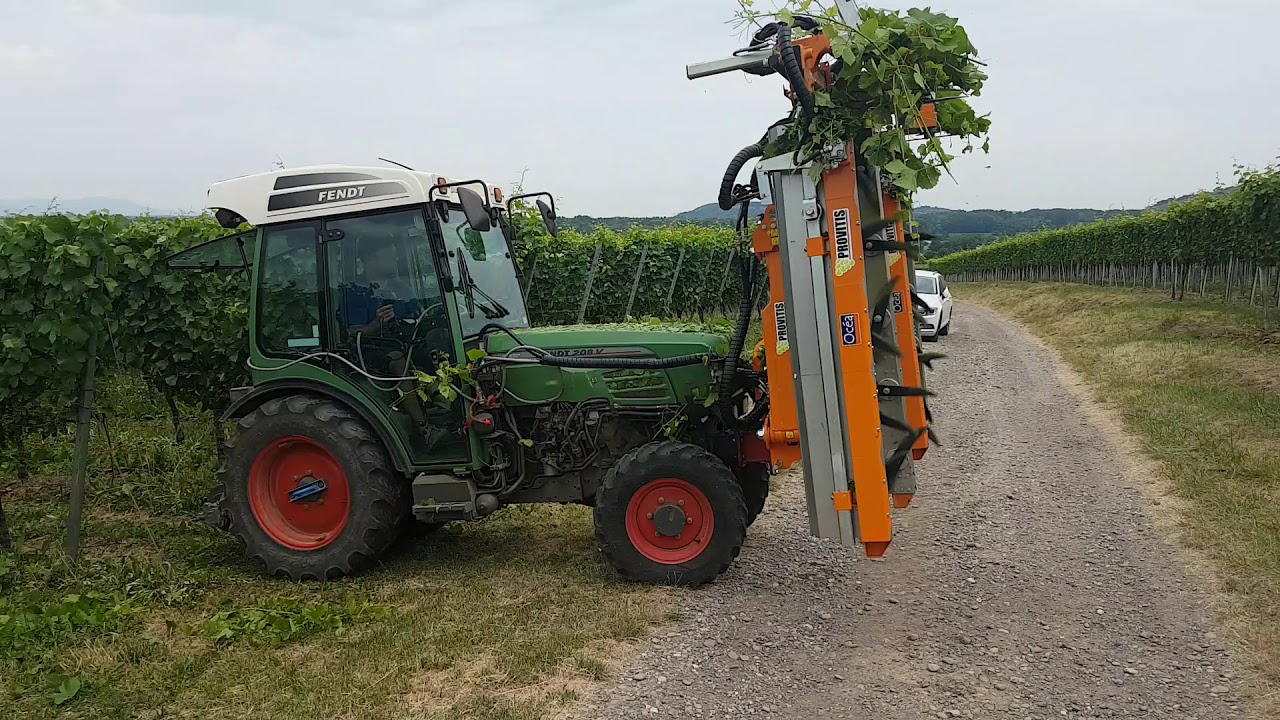 Provitis &Uuml;berzeilen Freisicht Laubschneider