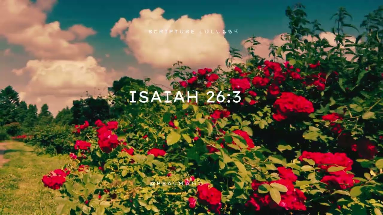 Perfect Peace | Isaiah 26:3 Scripture Lullaby for Sleep, Anxiety Relief, and Meditation