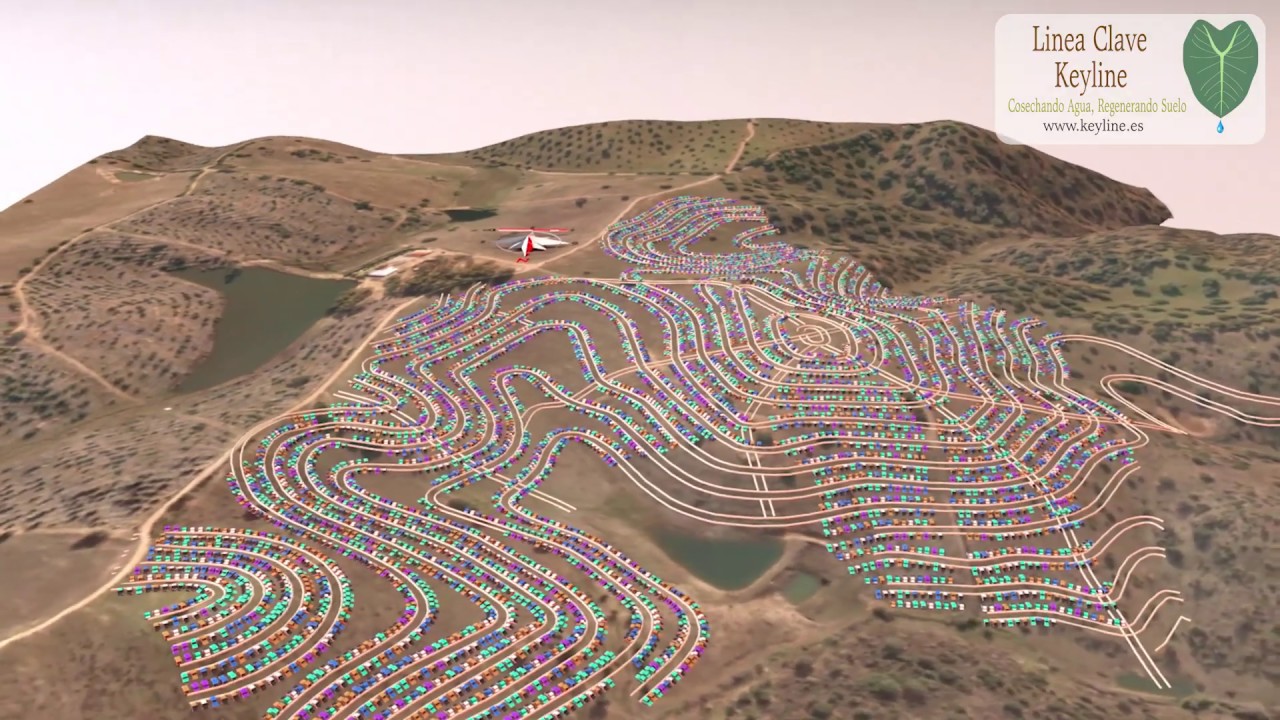 Dise&ntilde;o de zona de aparcamiento en l&iacute;nea clave keyline