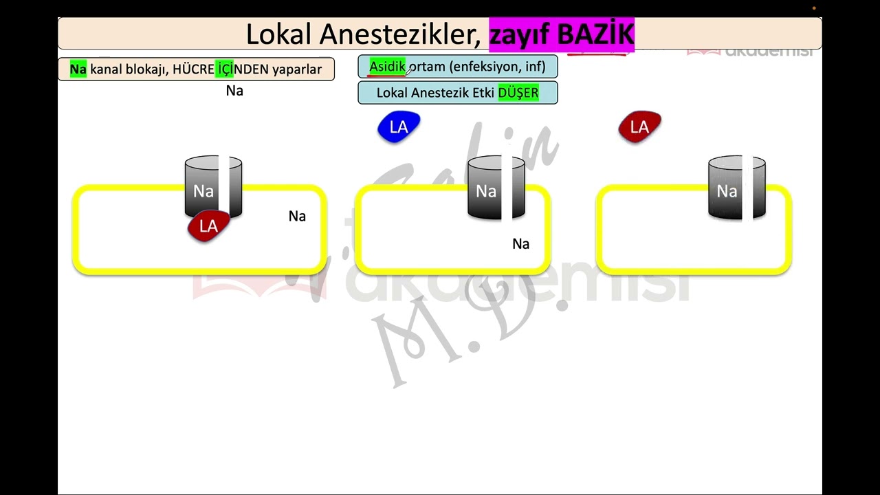 Lokal Anesteziklerin Etki Mekanizması
