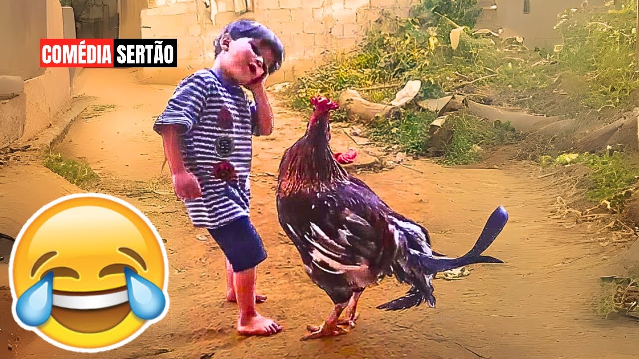 TENTE NÃO RIR: VÍDEOS ENGRAÇADOS 2025 E MEMES - #34