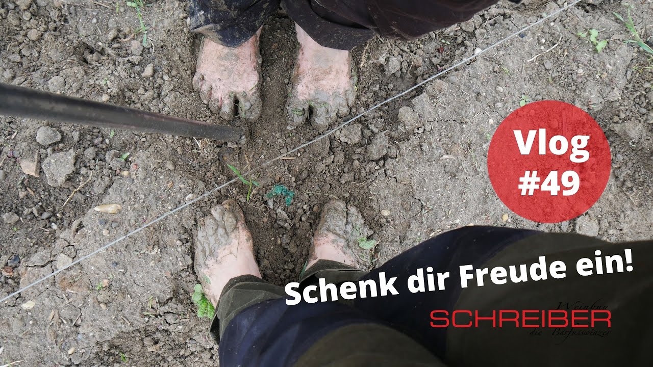 Wir bekommen Nachwuchs - so werden Reben gepflanzt I Schenk dir Freude ein! Vlog #49