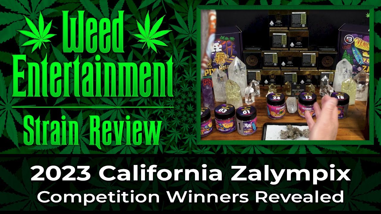 2023 California Zalympix - Judges Box Votes - Winners - June 2023