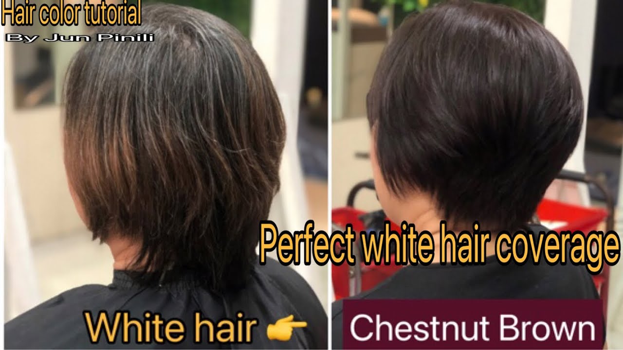 How to cover white hair // chestnut brown Perfect white hair coverage