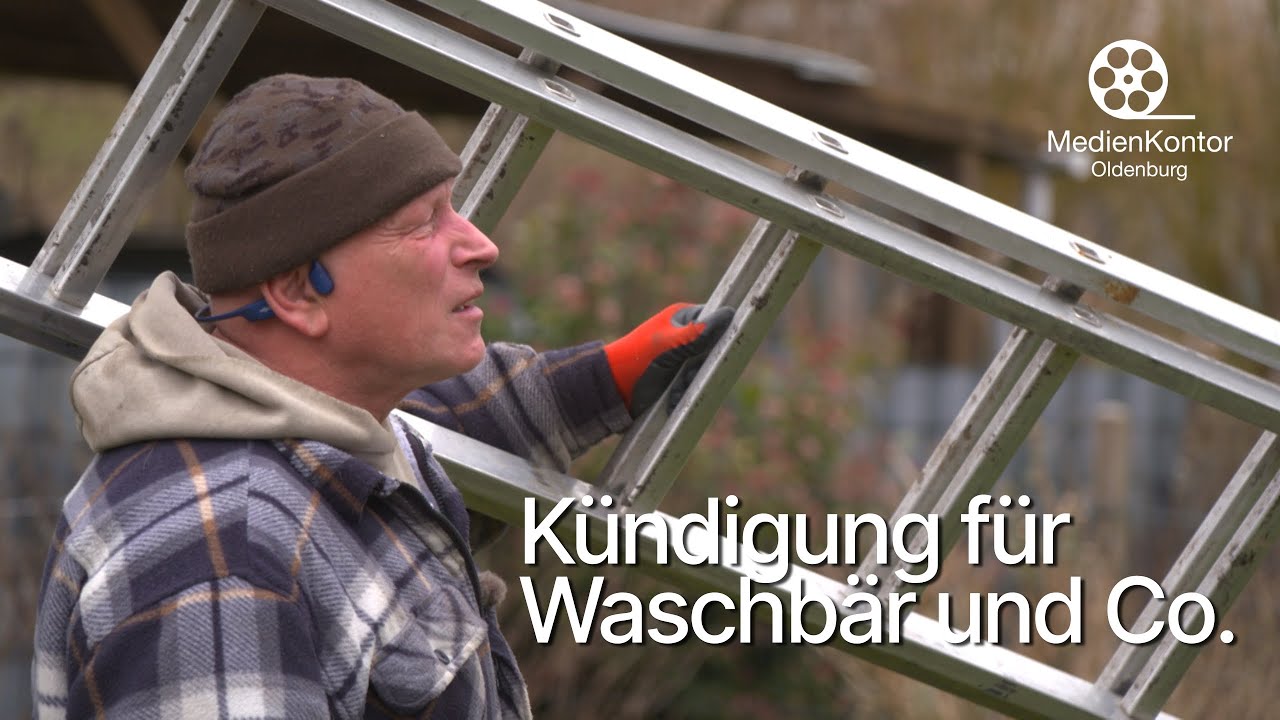 Kündigung für Waschbär und Co.