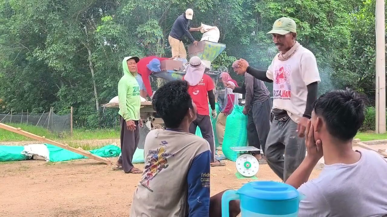 nggiling jagung di Qurnia Mataram