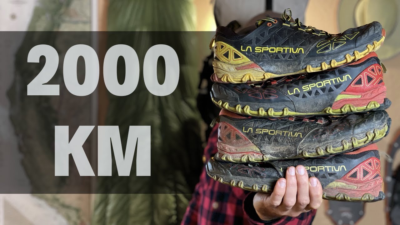 2000 KM con le BUSHIDO: RECENSIONE e Consigli per la Scelta delle Scarpe Giuste per te
