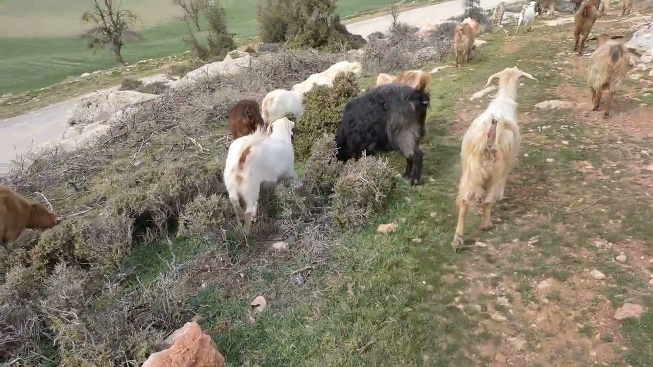 ANTALYA KORKUTELİNİN KÖYLERİ