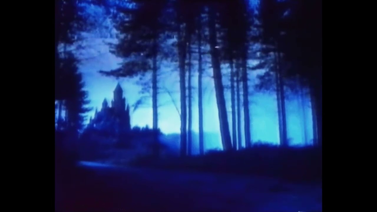 poison tree - grouper (𝑠𝑙𝑜𝑤𝑒𝑑)
