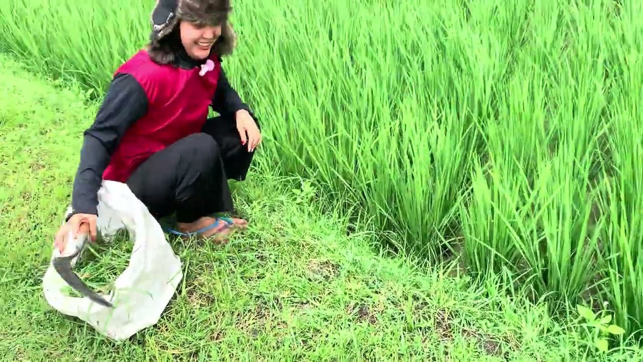 JIKA AKU MENJADI KIPIN || AWAN - AWAN NGARETTTTTTTTTTT