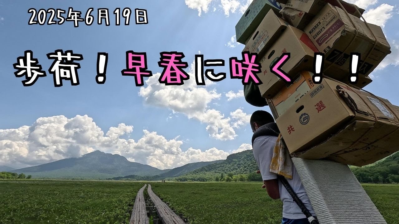 【歩荷だって人間】まさかの！？笑　歩荷達が嫌いなものは◯◯です！