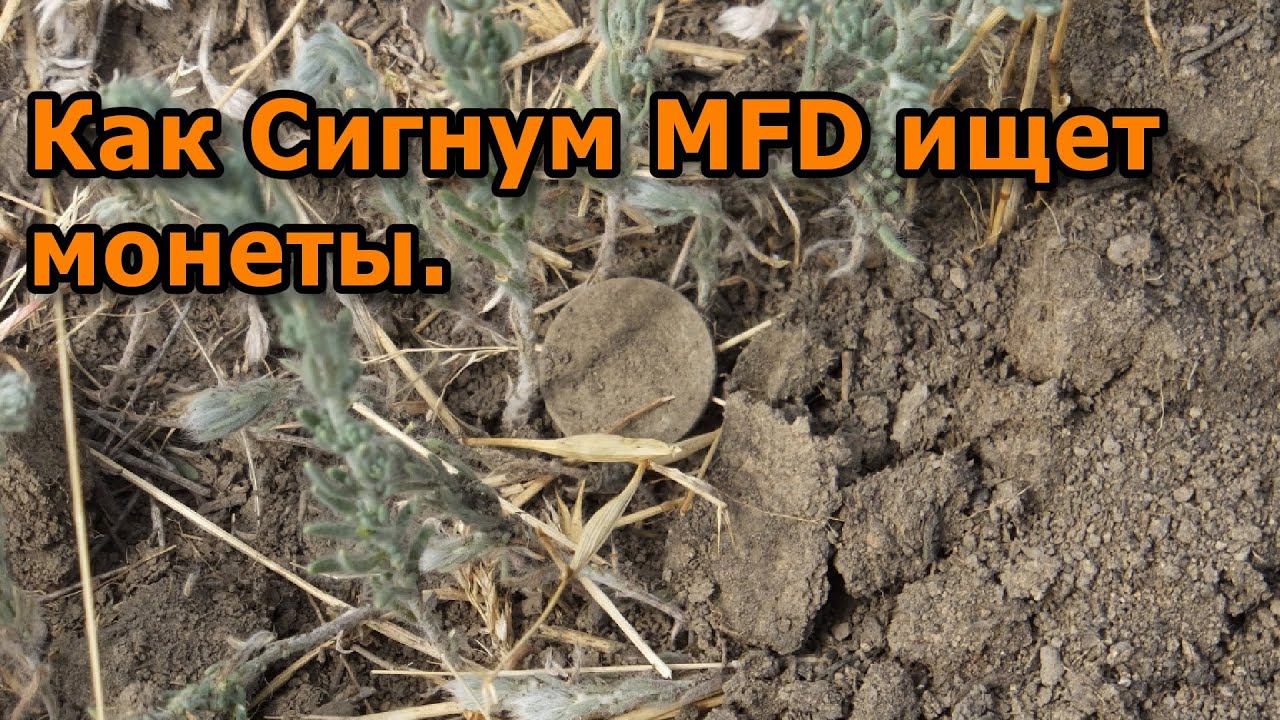 Как Сигнум MFD ищет монеты.